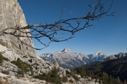 bergherbst-11