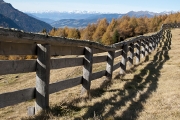 bergherbst-4