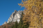 bergherbst-6