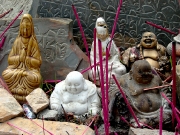 shangrila-16