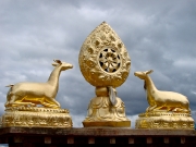 shangrila-17