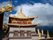 shangrila-20