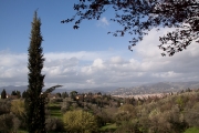 florenz-2