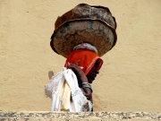 rajasthan-18