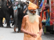 rajasthan-41