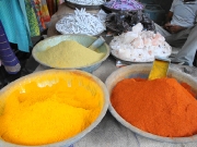 rajasthan-43