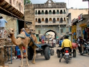 rajasthan-59