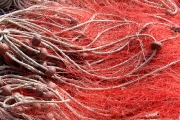 istrien-20