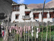 ladakh-26