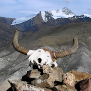 Indien - Ladakh