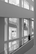 macba-19