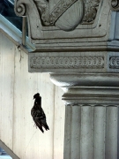 paris-9