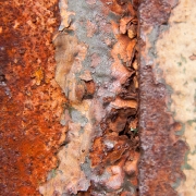 rost-6