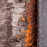 rost-8