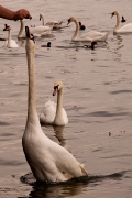 zuerich-26